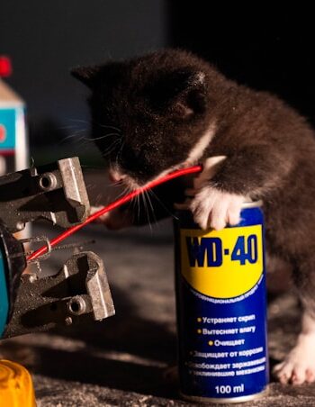 Ciszej, wolniej, głębiej: Nowa jakość relacji po czterdziestce