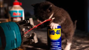 Praca nie musi wypalać – jak po czterdziestce odzyskać satysfakcję zawodową